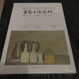 长篇小说选刊 2021.3总第98期