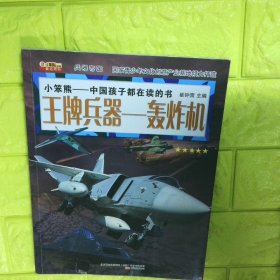 王牌兵器轰炸机