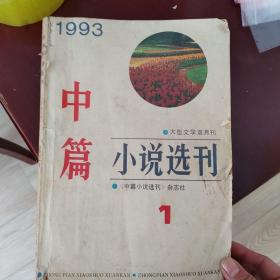 中篇小说选刊1993