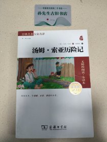 经典名著 大家名译：汤姆·索亚历险记（无障碍阅读 全译本 素质版）