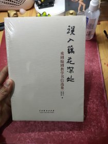 误入藕花深处——戏剧编剧教学书信选集