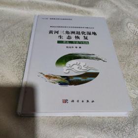 “十二五”国家重点图书出版规划项目·黄河三角洲退化湿地生态恢复：理论、方法与实践