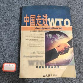 中国走进WTO(最新版)