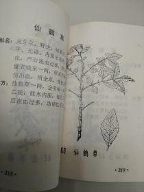 民间草药处方选(小开本)