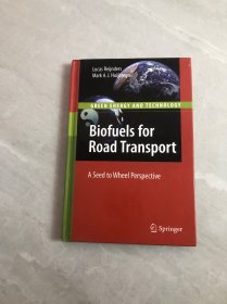 biofuels for road transport a seed to wheel perspective