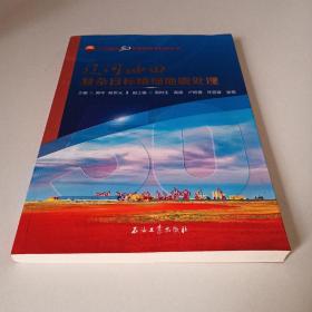 辽河油田 复杂目标精细地震处理