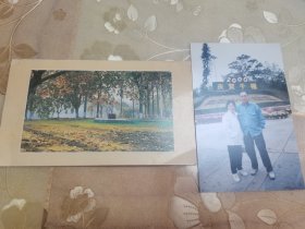 华南农业大学教授、果树生理学奠基人之一“黄辉白”先生签赠照片一幅及华南农业大学贺年卡一幅，具体如图自鉴，实价包邮