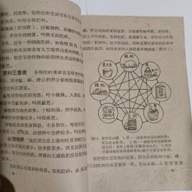 高级小学课本-农业常识第一册