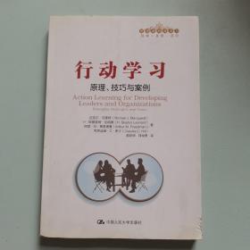 行动学习：原理、技巧与案例