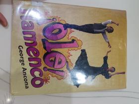 !Ole!  flamenco弗拉門戈(LMEB28996)
