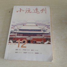 小说选刊