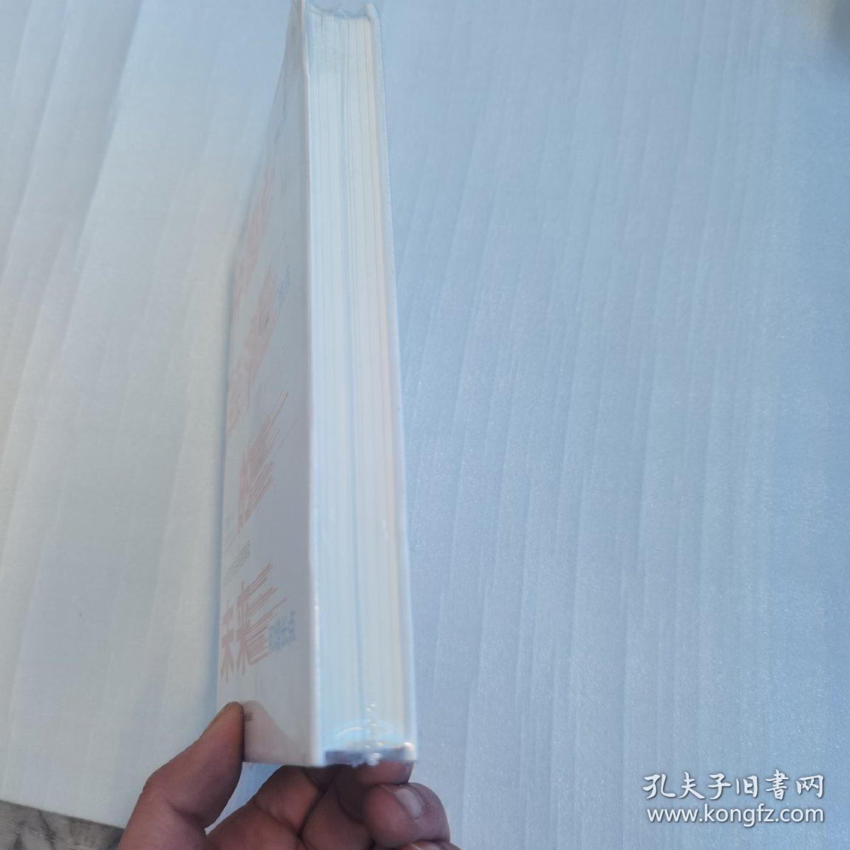 中国经济的未来：热点、难点和增长点