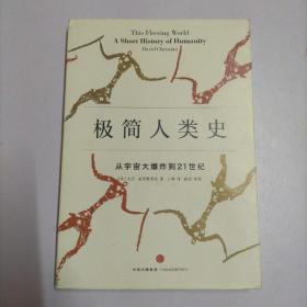 极简人类史：从宇宙大爆炸到21世纪