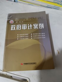 政府审计案例，一版一印