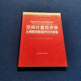 空间计量经济学：从横截面数据到空间面板/经济科学译丛；“十一五”国家重点图书出版规划项目