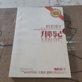 杜拉拉升职记