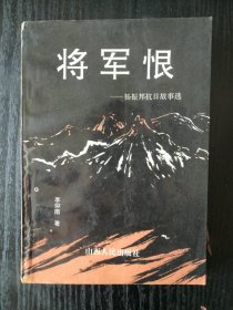 将军恨——杨振邦抗日故事选