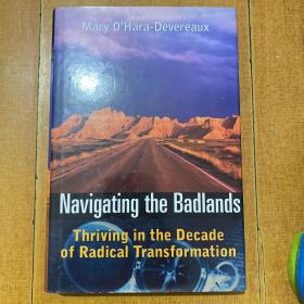 Navigating the Badlands Thriving in the Decade of Radical Transformation 在荒地航行，在彻底改革十年中蓬勃发展