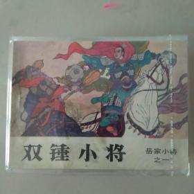 岳家小将（1—14册 ）