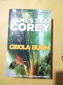 JAMES.S.A.COREY CIBOLA BUEN 4