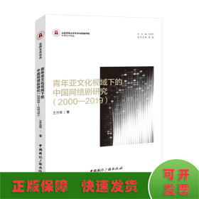 青年亚文化视域下的中国网络剧研究（2000—2019）