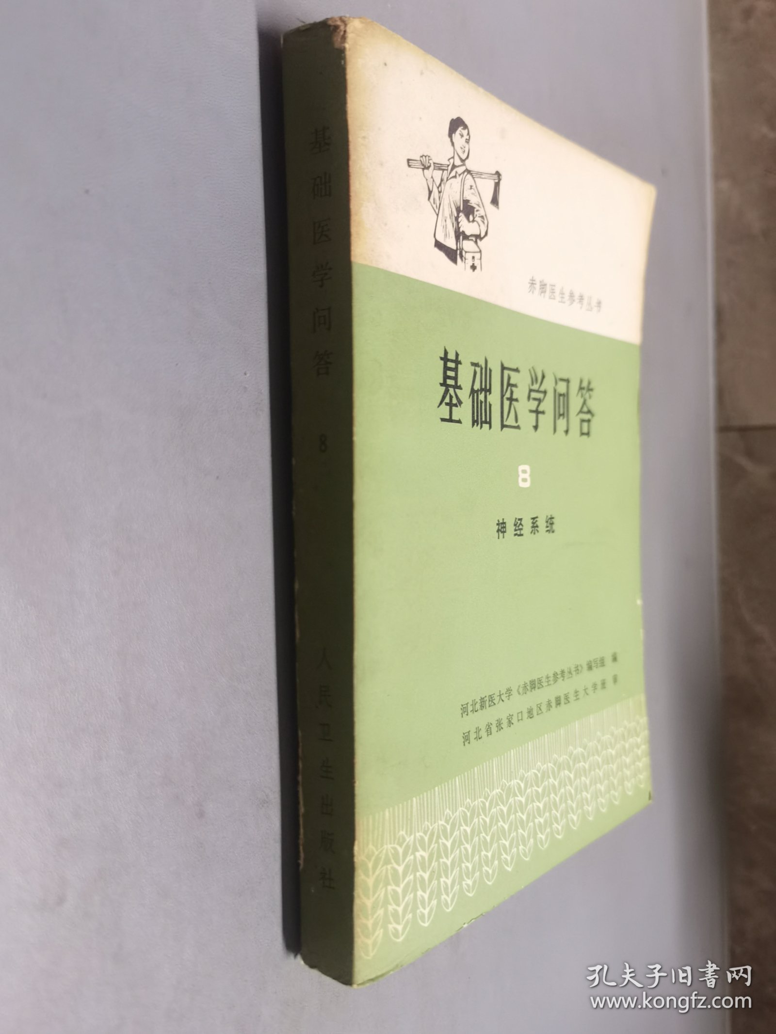 基础医学问答（8）神经系统