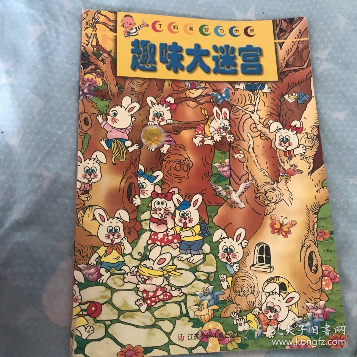 趣味大迷宫/丁呱呱智力世界