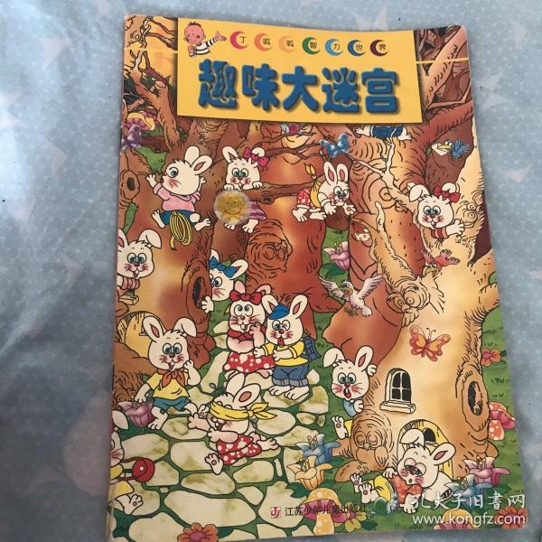趣味大迷宫/丁呱呱智力世界