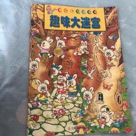 趣味大迷宫/丁呱呱智力世界