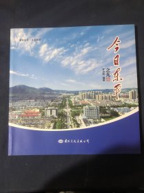 今日东平之九 山东省泰安市东平县人文风光历史文物古迹画册