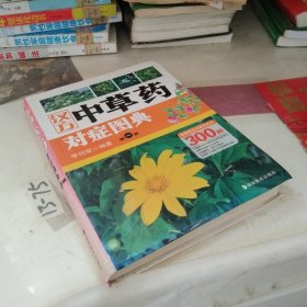 汉方中草药对症图典。第一册