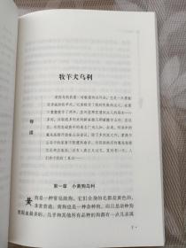 小战马（中小学生课外阅读指导丛书）无障碍阅读 彩插励志版