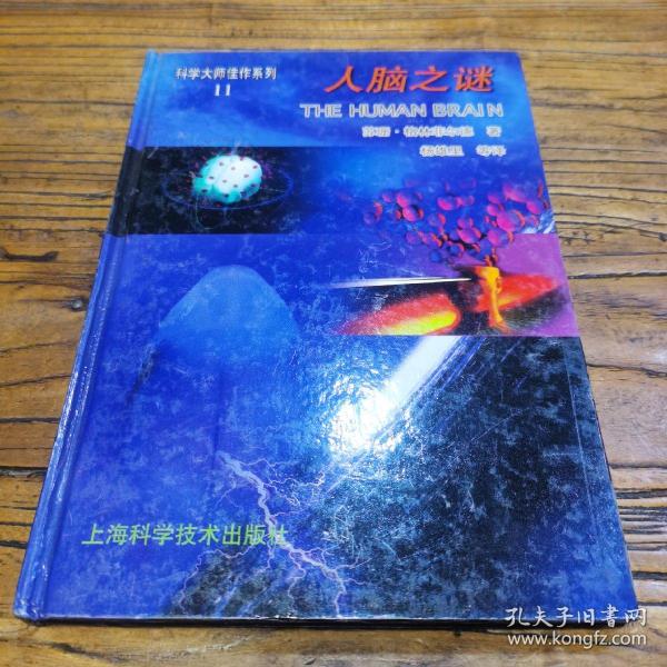 人脑之谜：科学大师佳作系列11