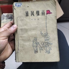 暴风乐雨