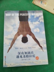 深夜加油站遇见苏格拉底：和平勇士之道