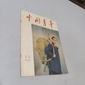 中国青年1963.3-4