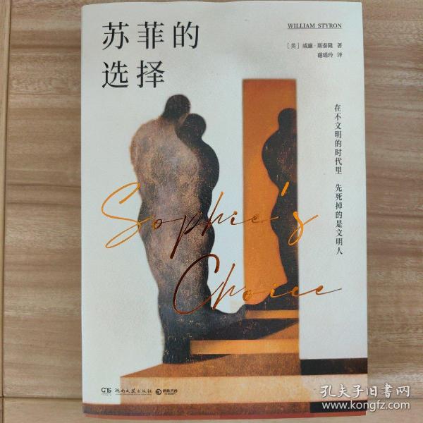 苏菲的选择（美国“国家图书奖”获奖作品，入选兰登书屋“二十世纪百佳英文小说”。一部写尽罪恶与救赎的人性悲剧。新版增补译文10万字）