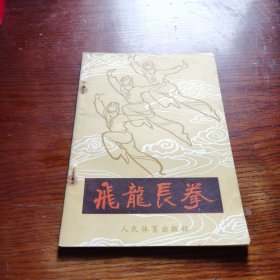 飞龙长拳