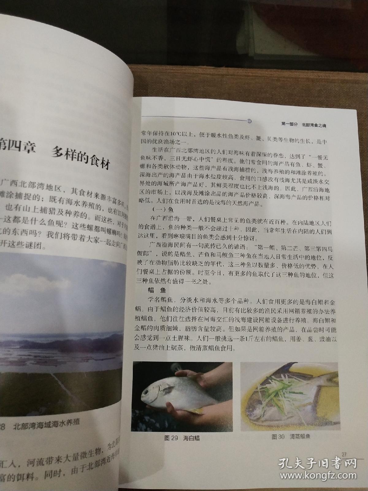 北部湾风味食趣/广西北部湾传统文化丛书-