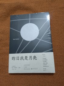 昨日我是月亮(巴基斯坦诗人努尔·乌纳哈诗集)(品相如图，介意的不要拍)B