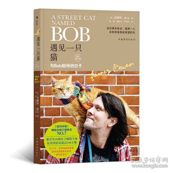 遇见一只猫:与Bob相伴的日子