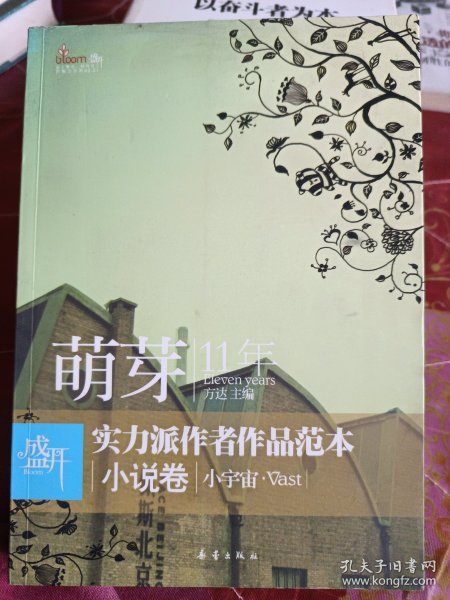 盛开萌芽11年实力派作者作品范本小说卷：小宇宙