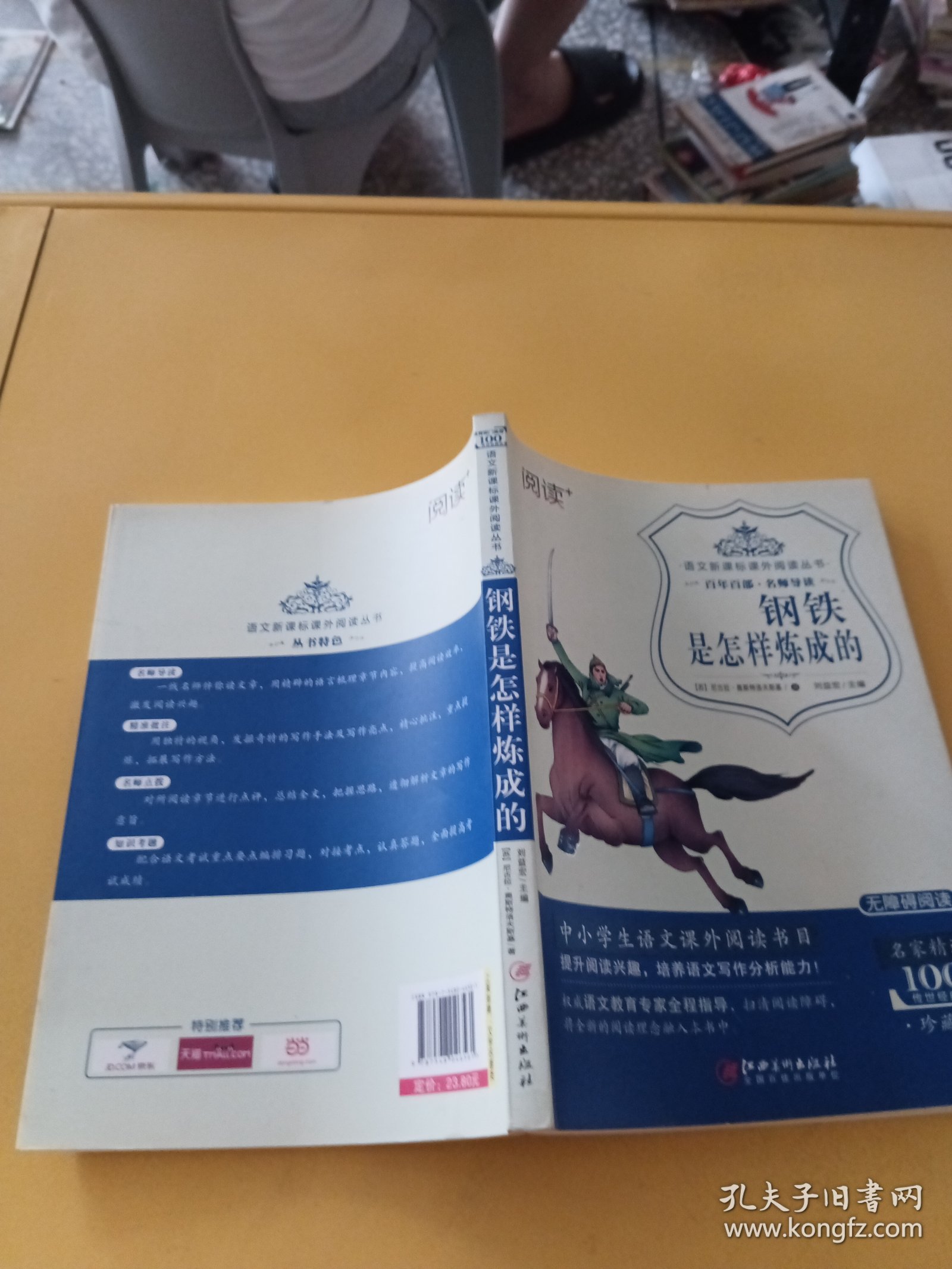 钢铁是怎样炼成的/语文新课标课外阅读丛书