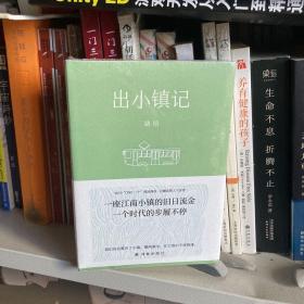 出小镇记（一座江南小镇的旧日流金，一个时代的步履不停。知青子女、厂矿子弟，一些关于成长与变迁的故事）