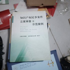 知识产权民事案件立案审查与示范案例