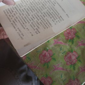 县花梦（下）