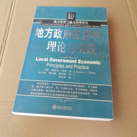 地方政府经济学：理论与实践