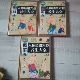 图解人体经络穴位养生大全（全三卷）