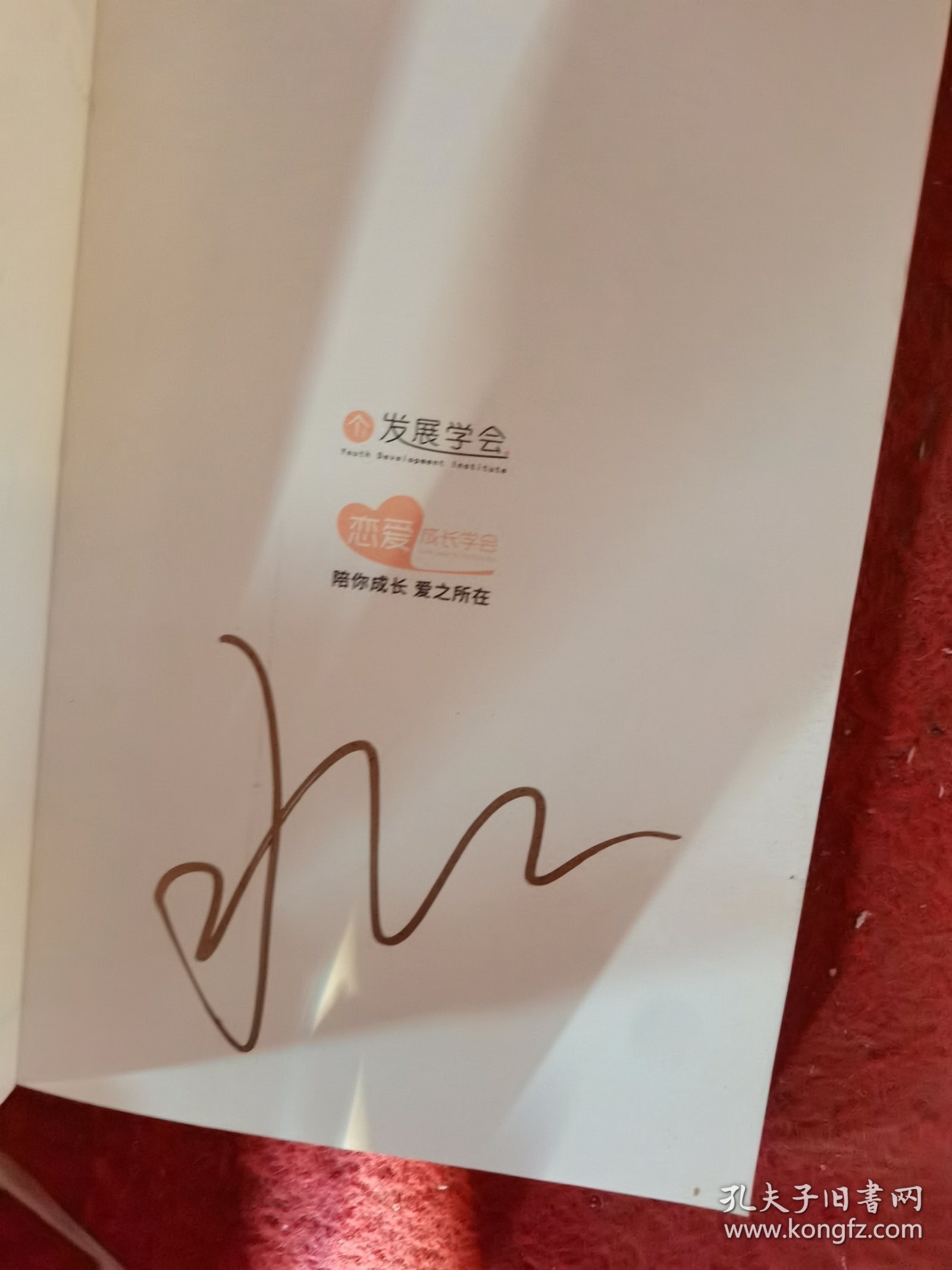 内向者的沟通课（二手）