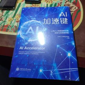 AI加速键——上海人工智能创新发展探索与实践案例集